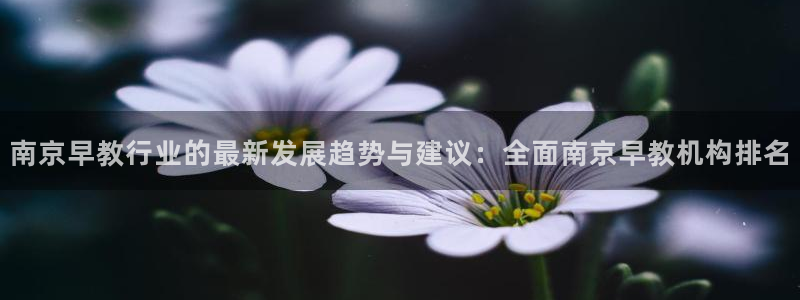 天狮娱乐怎么注册：南京早教行业的最新发展趋势与建议：全面南京早教机构排名