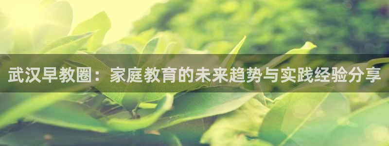 天狮娱乐 a内部29229