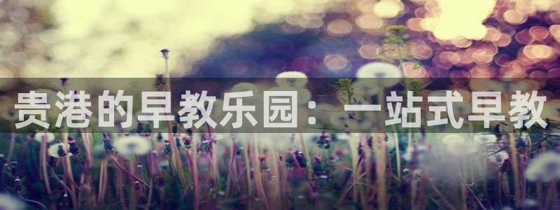 天狮娱乐挂机风险：贵港的早教乐园：一站式早教