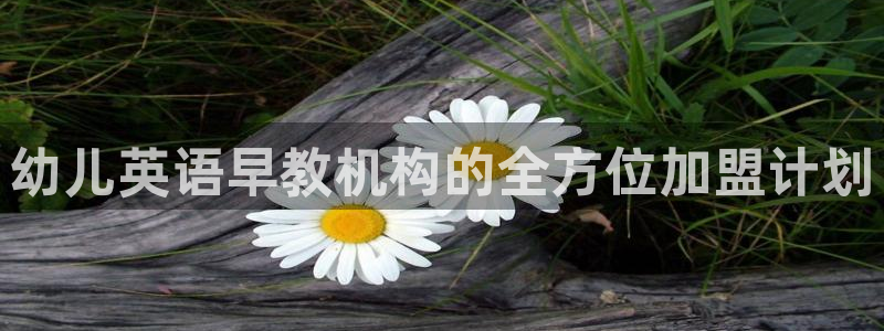 天狮娱乐平台是赌博吗：幼儿英语早教机构的全方位加盟计划