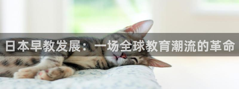天狮娱乐 招商扣：日本早教发展：一场全球教育潮流的革命