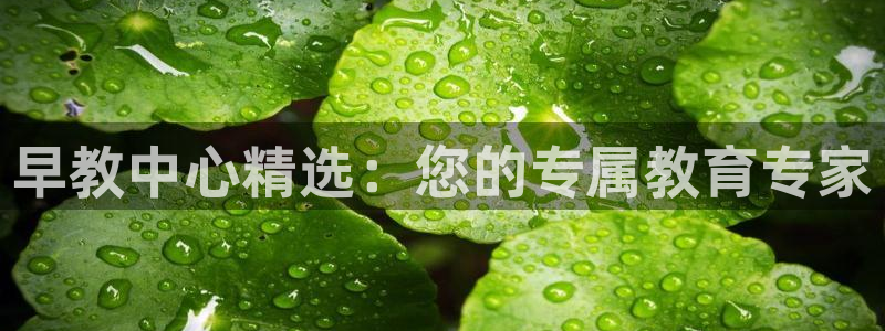 天狮娱乐 官方注册官网：早教中心精选：您的专属教育专家