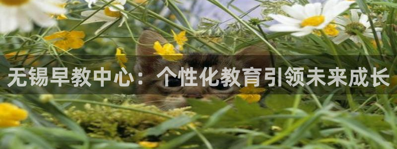 天狮娱乐股东29229：无锡早教中心：个性化教育引领未来成长