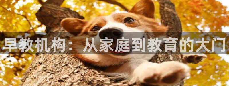 天狮娱乐股东待遇：早教机构：从家庭到教育的大门