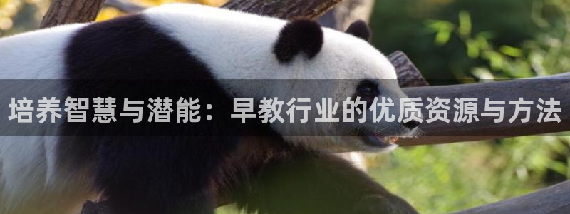 天狮娱乐 a主57661管：培养智慧与潜能：早教行业的优质资源与方法