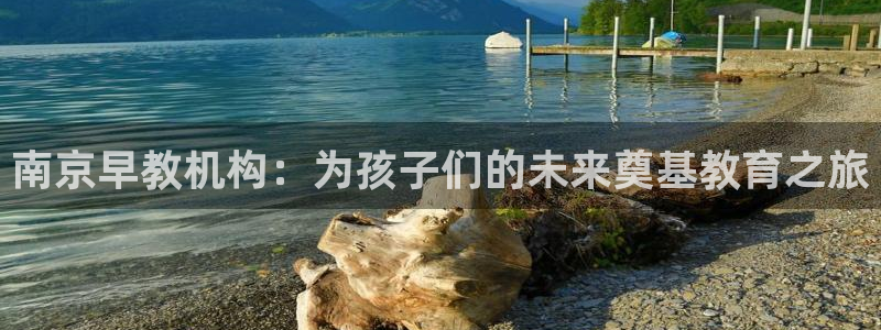 天狮娱乐走势图：南京早教机构：为孩子们的未来奠基教育之旅
