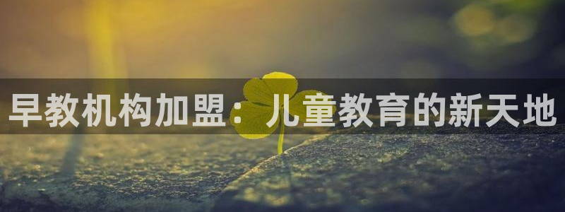 天狮娱乐 a招商98663：早教机构加盟：儿童教育的新天地