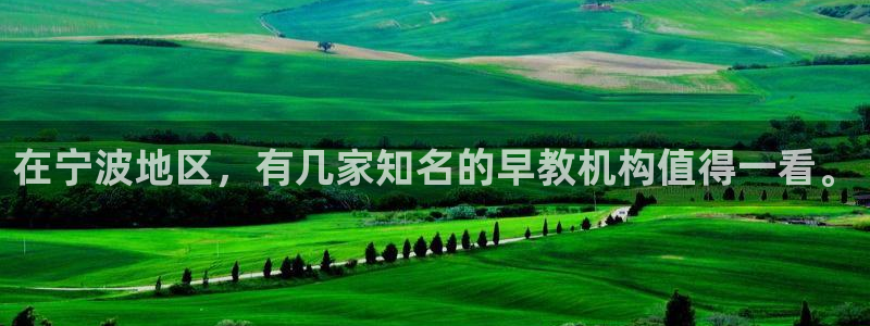 天狮娱乐妞妞：在宁波地区，有几家知名的早教机构值得一看。