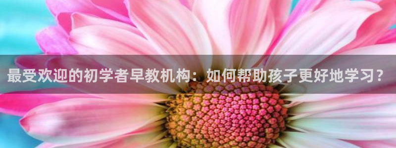 天狮娱乐bd33net广告：最受欢迎的初学者早教机构：如何帮助孩子更好地学习？