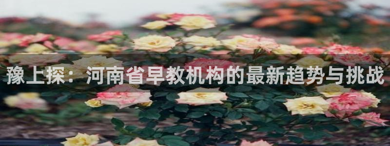 天狮娱乐湫33 300：豫上探：河南省早教机构的最新趋势与挑战