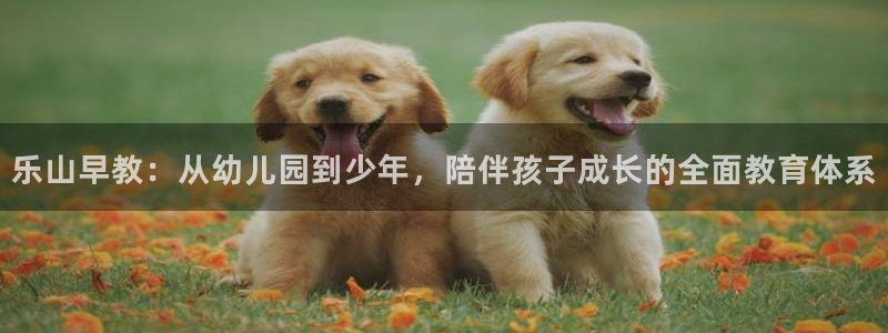 天狮娱乐最高待遇：乐山早教：从幼儿园到少年，陪伴孩子成长的全面教育体系