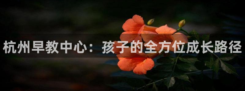 天狮娱乐指尖得：杭州早教中心：孩子的全方位成长路径