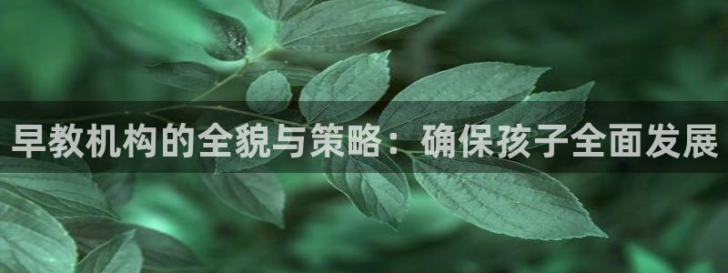 天狮娱乐股东：早教机构的全貌与策略：确保孩子全面发展