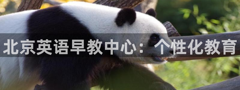 天狮娱乐平台注册：北京英语早教中心：个性化教育