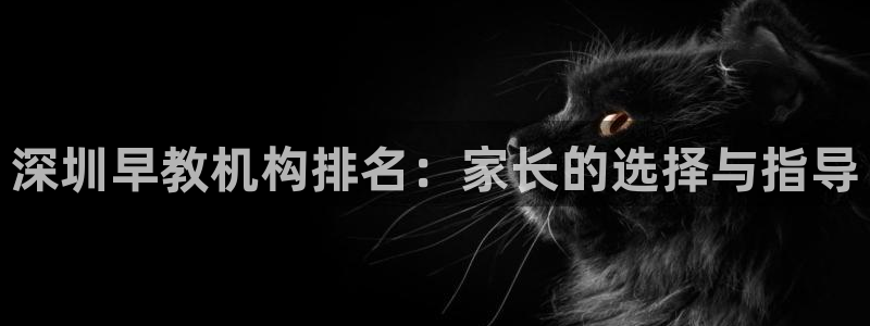 天狮娱乐非法吗：深圳早教机构排名：家长的选择与指导