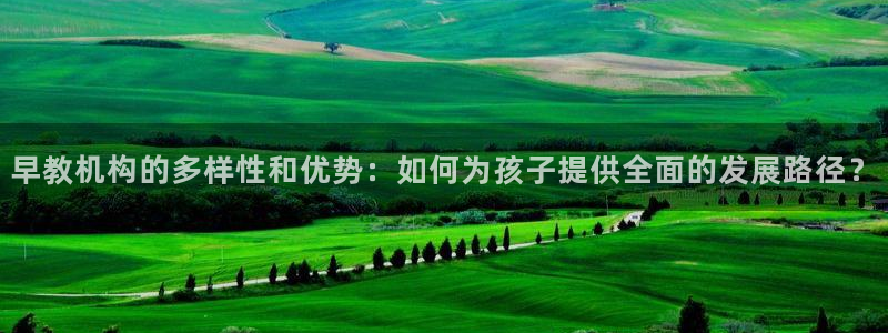 天狮娱乐縕不稳当：早教机构的多样性和优势：如何为孩子提供全面的发展路径？