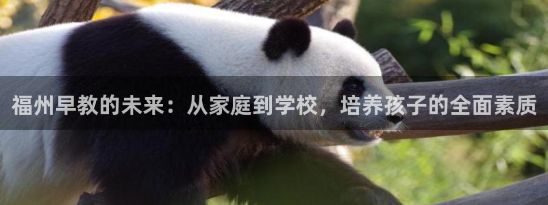 天狮娱乐 主管注册官网：福州早教的未来：从家庭到学校，培养孩子的全面素质