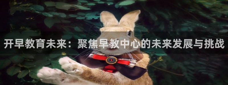 天狮娱乐代理是谁：开早教育未来：聚焦早教中心的未来发展与挑战