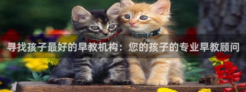天狮娱乐官方网站下载：寻找孩子最好的早教机构：您的孩子的专业早教顾问