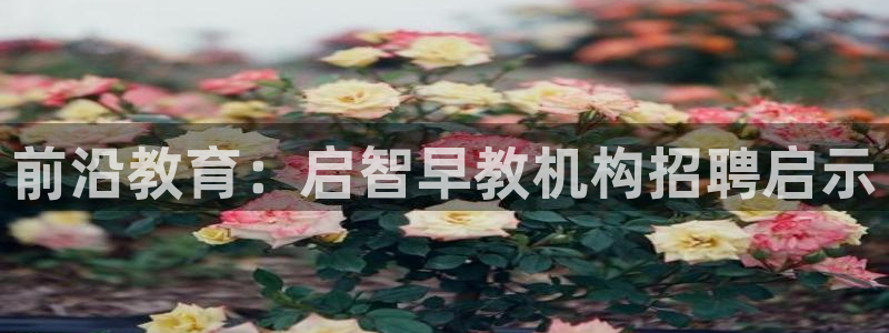 天狮娱乐哪里注册：前沿教育：启智早教机构招聘启示