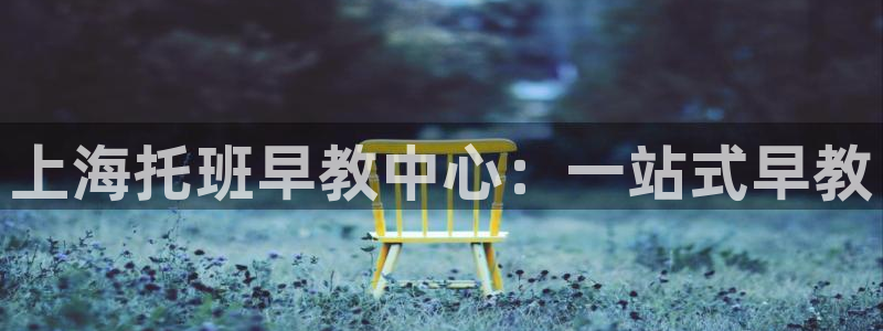 天狮娱乐卧J招商60447：上海托班早教中心：一站式早教