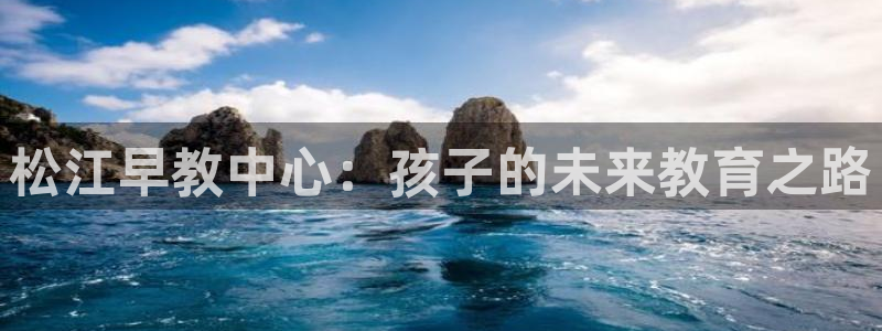 天狮娱乐最新版本：松江早教中心：孩子的未来教育之路