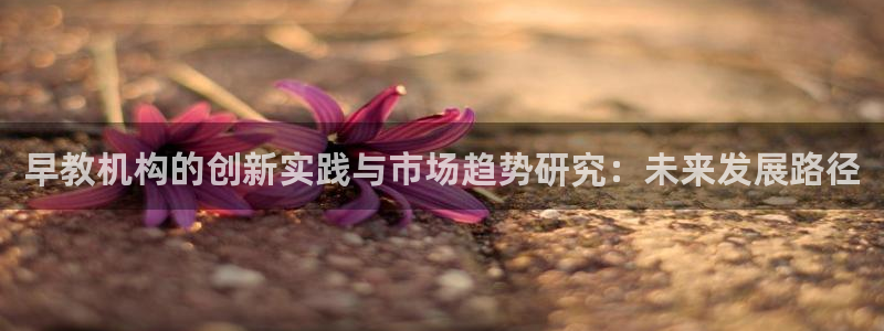 天狮娱乐平台招商：早教机构的创新实践与市场趋势研究：未来发展路径