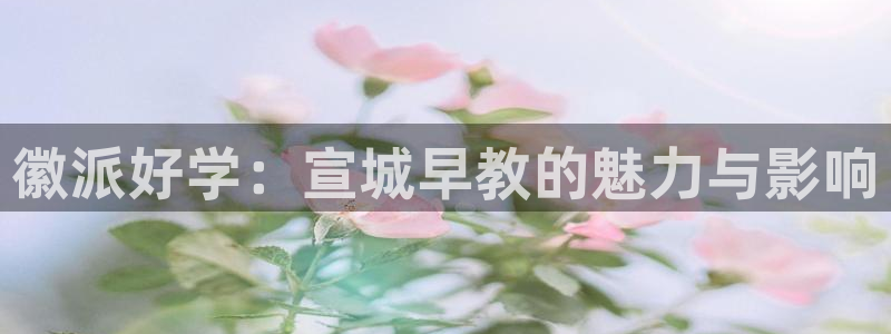 天狮娱乐 主管注册官网：徽派好学：宣城早教的魅力与影响