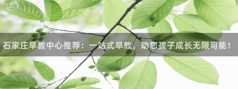 天狮娱乐主管招商：石家庄早教中心推荐：一站式早教，助您孩子成长无限可能！