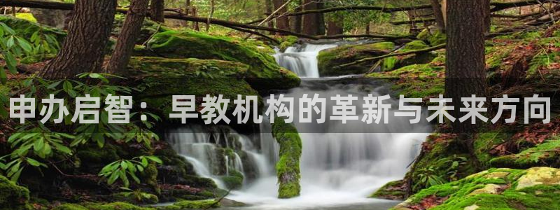 天狮娱乐走势图：申办启智：早教机构的革新与未来方向