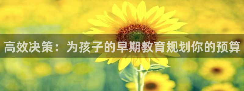 天狮娱乐开户：高效决策：为孩子的早期教育规划你的预算