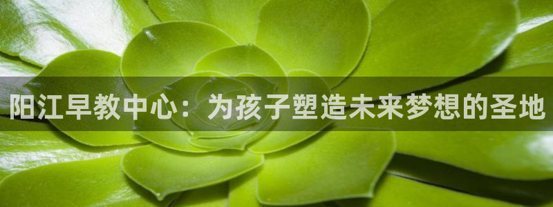 天狮娱乐行：阳江早教中心：为孩子塑造未来梦想的圣地