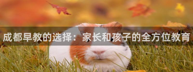 天狮娱乐33673 q实力：成都早教的选择：家长和孩子的全方位教育