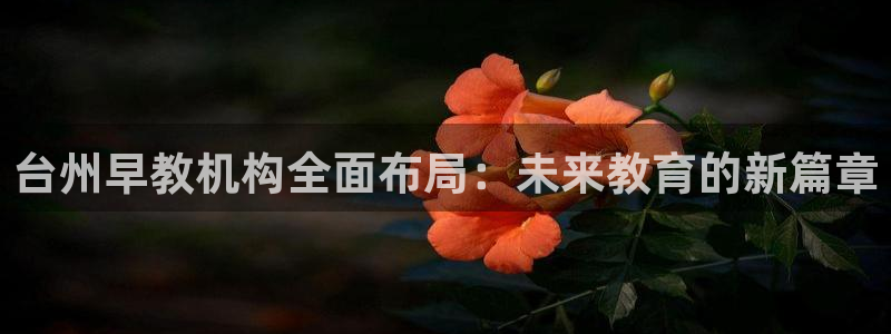 天狮学院娱乐：台州早教机构全面布局：未来教育的新篇章