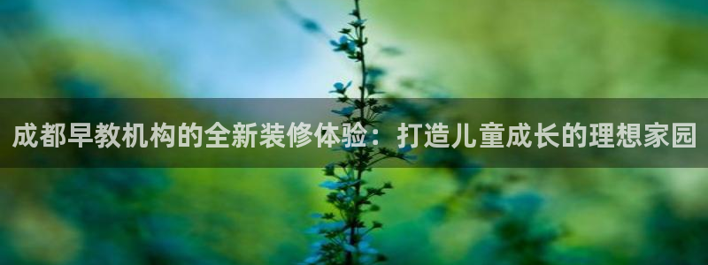 天狮娱乐可以赚钱吗：成都早教机构的全新装修体验：打造儿童成长的理想家园