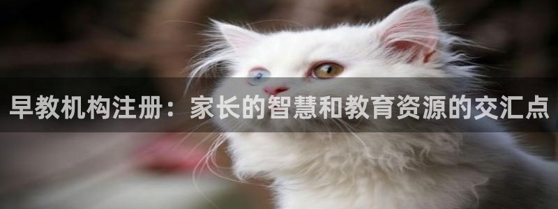 天狮娱乐d 判官：早教机构注册：家长的智慧和教育资源的交汇点
