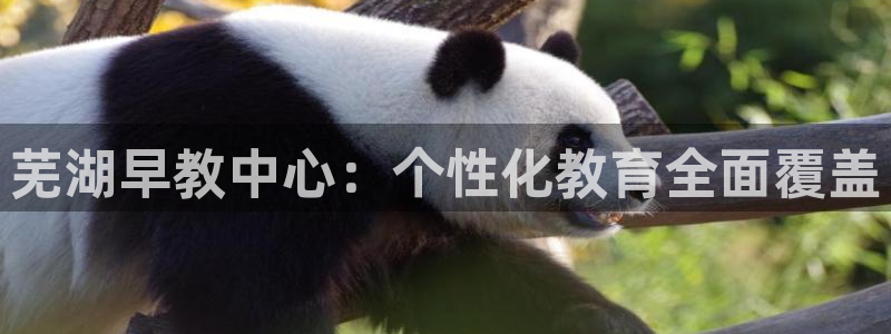 天狮娱乐 a招商60447：芜湖早教中心：个性化教育全面覆盖