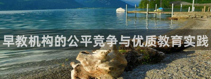 天狮娱乐扣72226：早教机构的公平竞争与优质教育实践