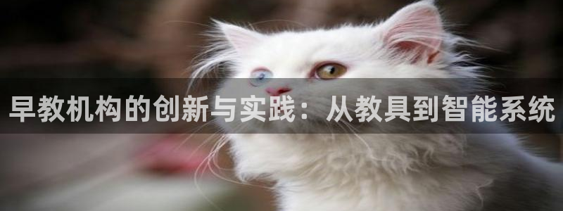 天狮娱乐运营29229：早教机构的创新与实践：从教具到智能系统