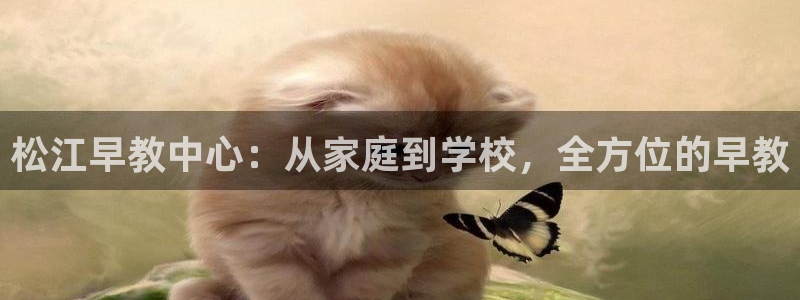 天狮娱乐b 判官：松江早教中心：从家庭到学校，全方位的早教