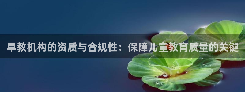 天狮娱乐招商主管：早教机构的资质与合规性：保障儿童教育质量的关键