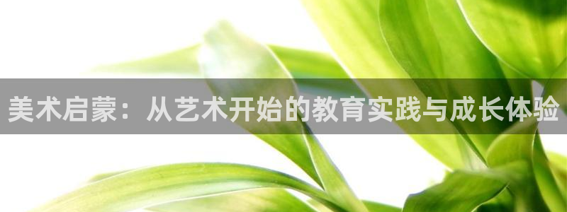 天狮娱乐app是哪的：美术启蒙：从艺术开始的教育实践与成长体验