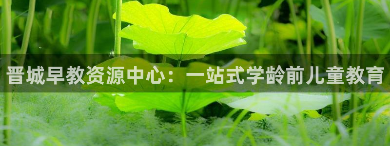 天狮娱乐指尖得：晋城早教资源中心：一站式学龄前儿童教育