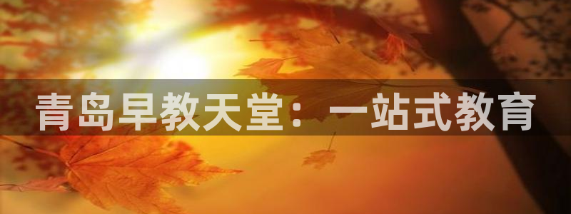 天狮娱乐会所：青岛早教天堂：一站式教育