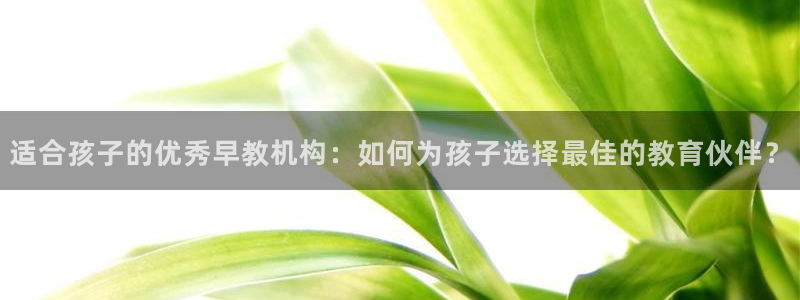 天狮娱乐分分：适合孩子的优秀早教机构：如何为孩子选择最佳的教育伙伴？
