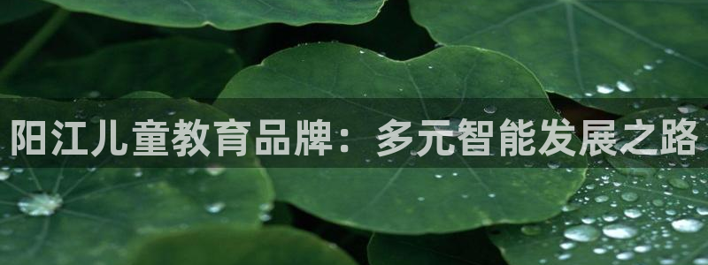 天狮娱乐股东待遇：阳江儿童教育品牌：多元智能发展之路