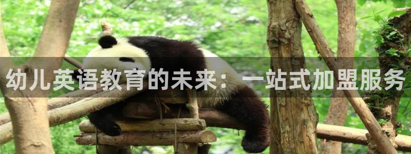 天狮娱乐 e.主管57661：幼儿英语教育的未来：一站式加盟服务