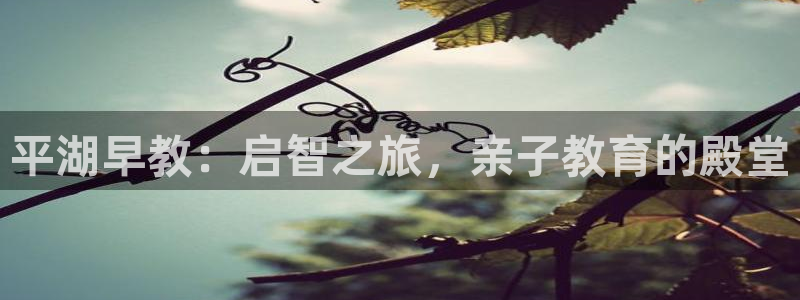 天狮娱乐 82104直招q：平湖早教：启智之旅，亲子教育的殿堂