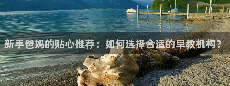 天狮娱乐招商扣：新手爸妈的贴心推荐：如何选择合适的早教机构？