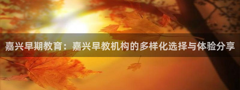 龙湖苏州狮山天街娱乐：嘉兴早期教育：嘉兴早教机构的多样化选择与体验分享